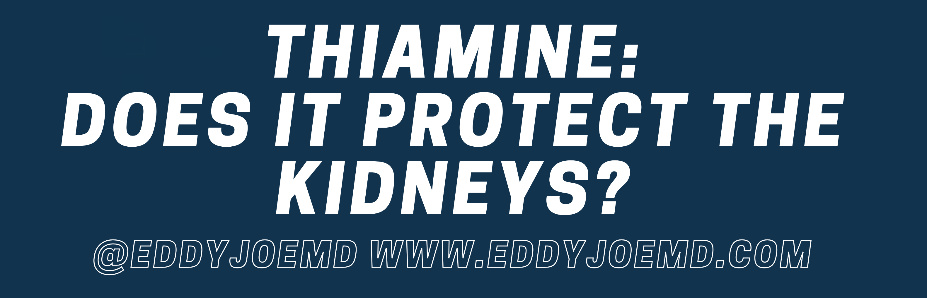 Thiamine and Renal Failure in Septic Shock Patients